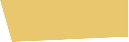 IRONI-HOME-IMAGE-18